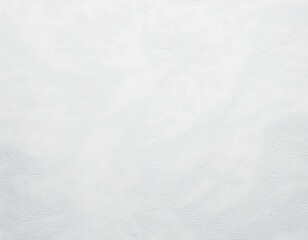 Chilled Canvas: White Paper Texture with Winter Accents