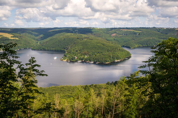 The River Running through Eifel National Park in North Rhine-Westphalia, Germany