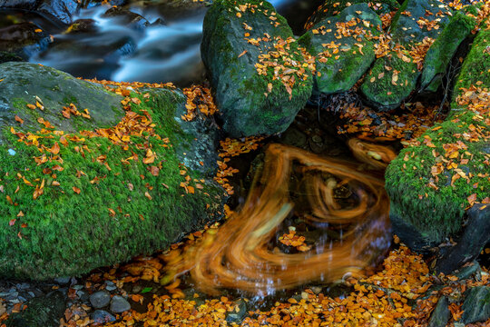 Torc Creek in Killarney National Park, Ireland