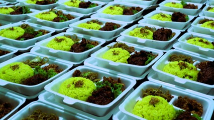 Large amount packages of yellow rice, noodles, and grilled chicken served in foam food container