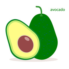 avocado fruit vector. avocado illustration. whole and split avocados.vector design.