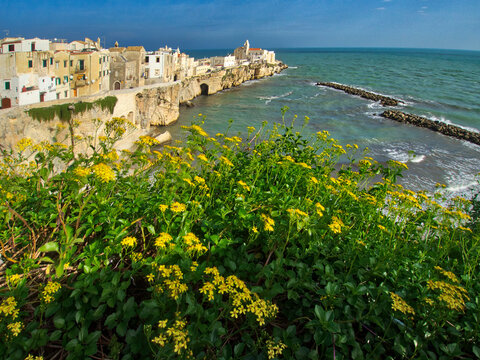 Old town of Vieste cityscape with medieval church at the tip of the peninsula of this fishing village in Gargano.