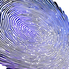 Vector style colorful fingerprint.