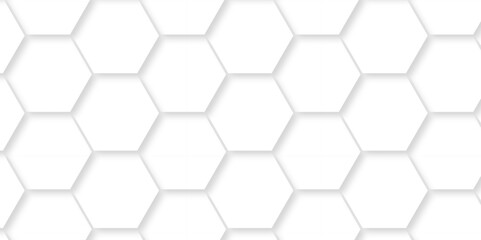 Abstract White Hexagonal Background. Luxury White Pattern. Vector Illustration. 3D Futuristic abstract honeycomb mosaic white background. geometric mesh cell texture. modern futuristic wallpaper.