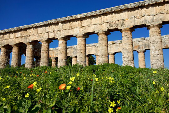 Italy, Sicily, Segesta. Greek temple is made of 36 columns.