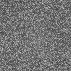 Seamless pattern with white lines and many flower petals on black background.