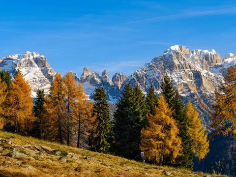 Cima Brenta and Cima Tosa. View of the Dolomiti di Brenta from Val Rendena in the Parco Naturale Adamello Brenta, part of UNESCO World Heritage Site. Dolomites, in the province of Trentino in Italy.