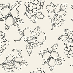 Line art lemon, grapes, plum, apple fruits background