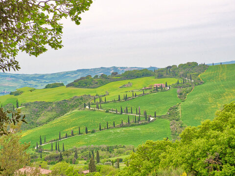 Italy, Tuscany. Winding road on the hillside near La Force