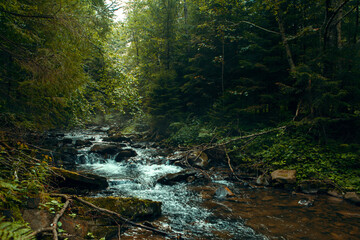 The rapid flow of a mountain river. Carpathian mountains, dense forest and clean mountain air....