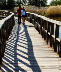 Tablas de Daimiel National Park, Ciudad Real, Castile-La Mancha, Spain, Europe