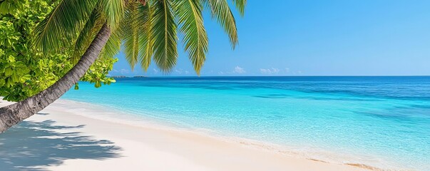 Pristine tropical beach with turquoise waters and palm trees, exotic beach travel destinations, paradise escape