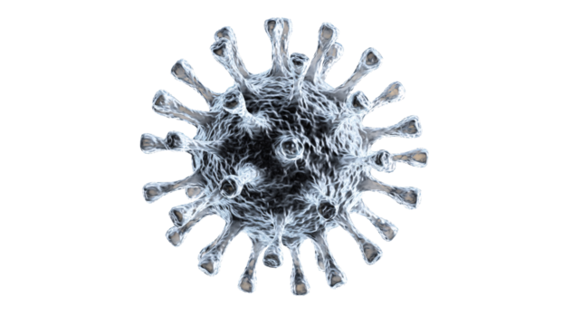 cut out, transparent photo, Transparent layer image, Remove background, clipped	