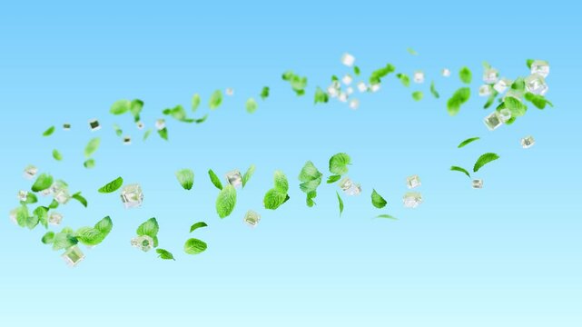 mint leaves and ice flying animation
