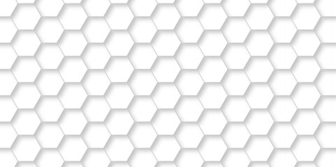Fototapeta premium Abstract White Hexagonal Background. Luxury White Pattern. Vector Illustration. 3D Futuristic abstract honeycomb mosaic white background. geometric mesh cell texture. modern futuristic wallpaper.