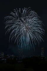 日本の風景・秋　打ち上げ花火（川口花火大会）