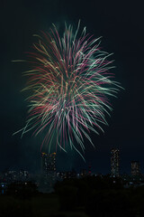 日本の風景・秋　打ち上げ花火（川口花火大会）