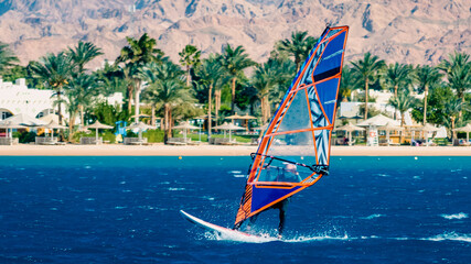 Fototapeta premium surfer rides on the background of the beach with a hotel and palm trees in Egypt Dahab South Sinai