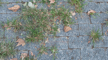 Square granite pavement with turf