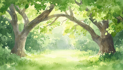 Fototapeta premium Enchanted forest, ancient trees, dappled sunlight, hidden pathways, Watercolor style
