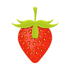 strawberries vector.strawberries icon and sliced strawberry on white background