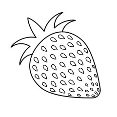 strawberries vector.strawberries icon and sliced strawberry on white background