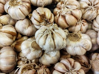 garlic as a cooking spice