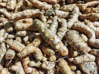 pile of ginger for traditional drinks