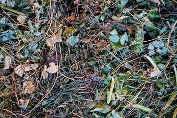 pile of green waste for fertilizer