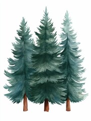 Fototapeta premium Serene Snowy Watercolor Forest Landscape with Fir Trees Peaceful and tranquil digital of a winter woodland scene with evergreen trees covered in snow isolated on a white background