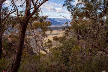 Korowal/Mt Solitary traverse in Blue Mountains National Park