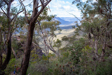 Korowal/Mt Solitary traverse in Blue Mountains National Park