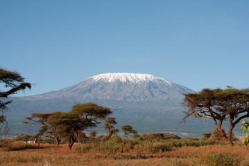 Fototapeta premium Kilimanjaro
