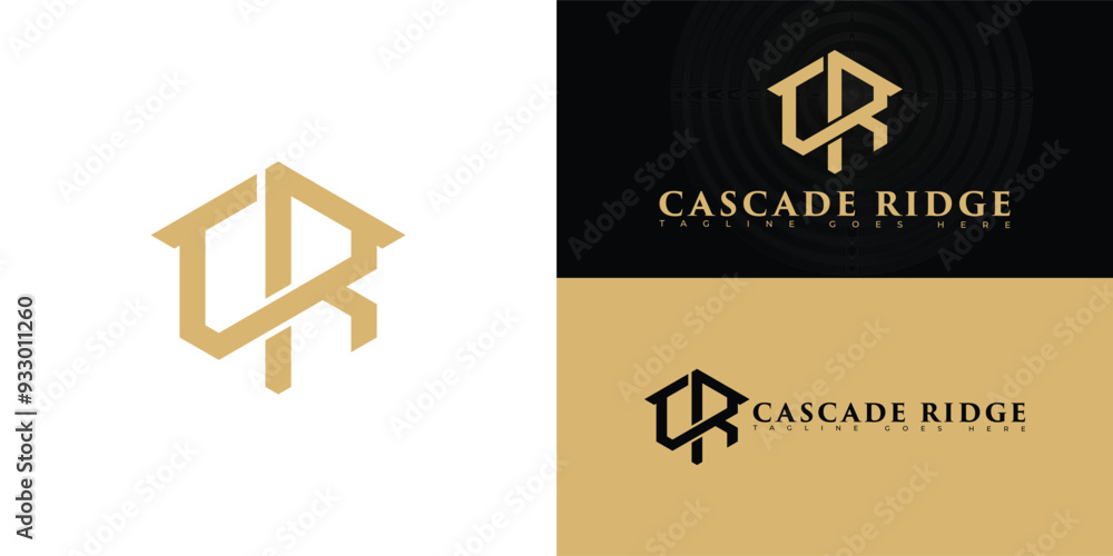 Poster abstract hexagon initial letter cr or rc in gold color isolated on multiple background colors. the l