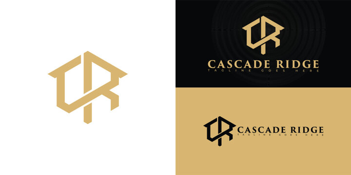 Abstract hexagon initial letter CR or RC in gold color isolated on multiple background colors. The logo is suitable for luxury home community logo design inspiration templates.