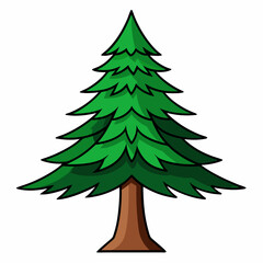A vibrant cartoon of a pine tree on a simple white background