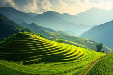 Vibrant harvest season terraced rice fields in mu cang chai, vietnam   popular travel destination