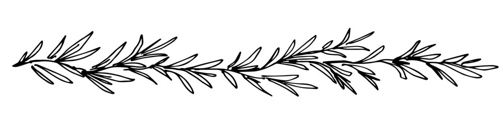 Long flower border, garland. Branches with leaves, banner. Vegetation and nature. Simple vector ink sketch.