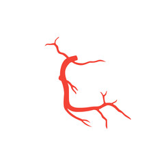 illustration of right coronary artery 