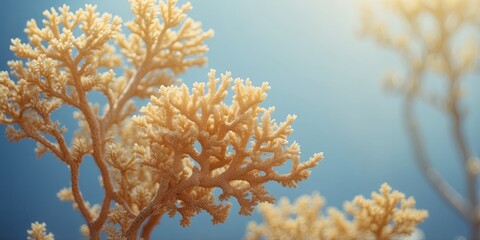 blue corals on a light yellow background.