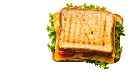 Delicious cheese sandwich top view isolated on white background
