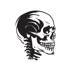 Iconic Skull Shadow Illustration