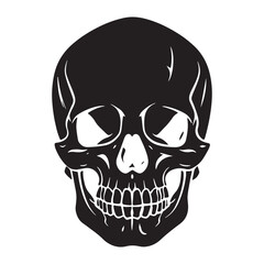 Iconic Skull Shadow Illustration