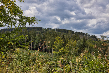 Der Breitenberg bei Ruhla im Sommer 2024.