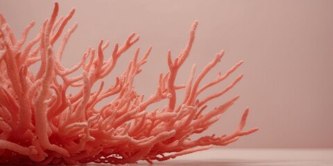 Fototapeta premium Abstract coral red color with pastel pink background, fluid creative concept composition with minimal natural elegance copy space.