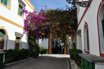 Morg&aacute;n auf Gran Canaria