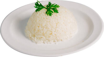 bowl of rice