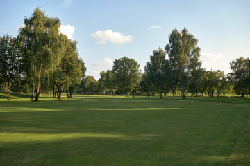 Peaceful Golf Course Landscape on a Sunny Day with lush green fairways and tall trees under a sunny sky. 