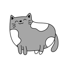 cat and mouse