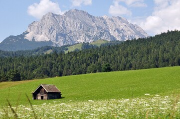 Obraz premium Buckelwiesen bei Mittenwald